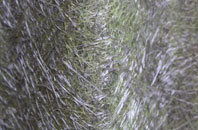 Bargod Or Bargoed fibreglass roof work